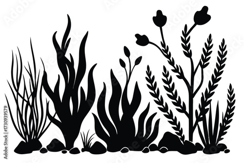 Black Silhouette of Aquatic Plants and Rocks Isolated on a White Background