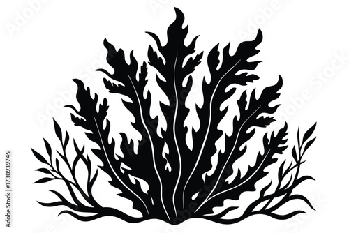 Black Silhouette Illustration of Leafy Bushy Plant with Stems and Spiky Leaves