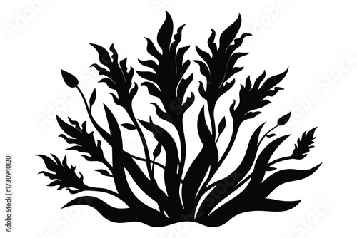 Black Silhouette of Flowering Plant Featuring Curled Leaves and a Bud on Stem