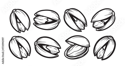 Pistachio Fruits Line Art Fresh Organic Food Vector