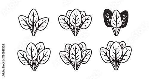 Spinach Vegetable Line Art Vector Illustration