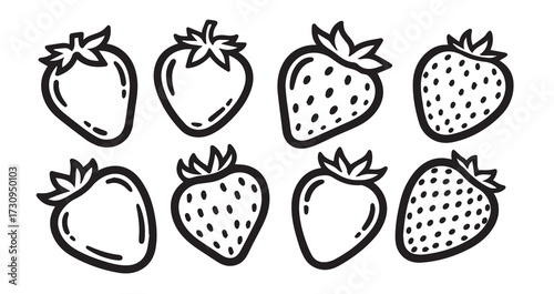 Strawberry Fruits Line Art Botanical Fruit Illustration