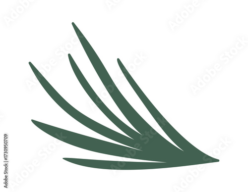 Green spruce needles Christmas element