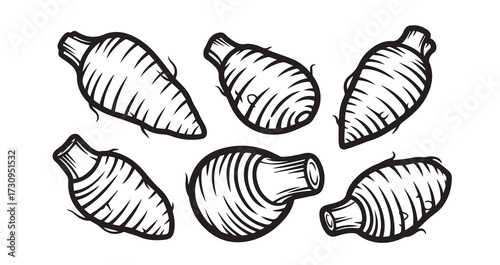 Taro Vegetable Line Art Organic Food Design