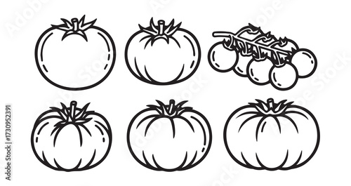 Tomato Vegetable Line Art Minimal Outline Drawing