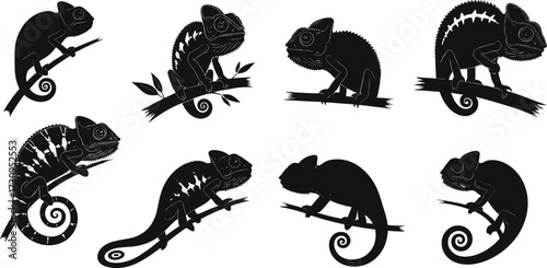 "Vector illustration of chameleon silhouettes in different poses sitting on branches, climbing, resting, curled tail, detailed reptile design for artwork"