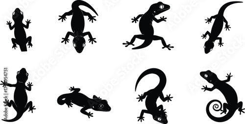 "Vector illustration of gecko silhouettes in multiple poses including climbing, crawling, resting, curled tail, detailed reptile lizard design for artwork"