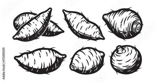 Yam Vegetable Line Art Hand Drawn Leaf Vector