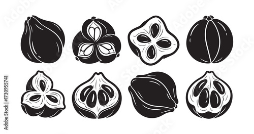 Ackee Fruits Line Art Minimal Outline Drawing