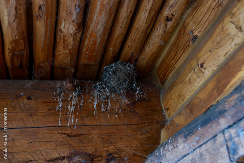 close up of old wooden cabin with a birds nest