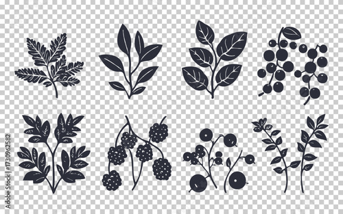 Collection of various dark silhouettes of leaves and berries on a transparent background for design purposes