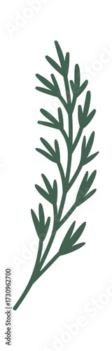 Evergreen branch Christmas decorative element
