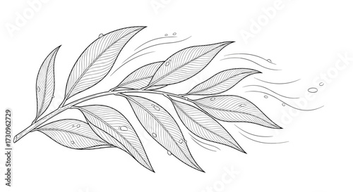 A delicate sprig of leaves dances gently in the breeze as it gracefully floats through the air.