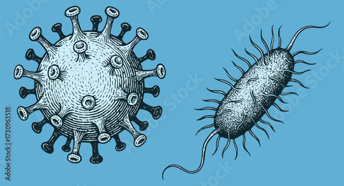 Vintage Microbiology Engraving – Viruses and Bacteria Science Illustration