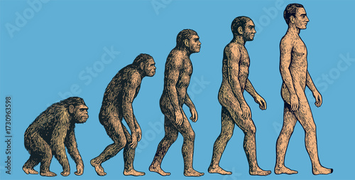 Engraving of Human Evolution – Anthropology Vintage Illustration