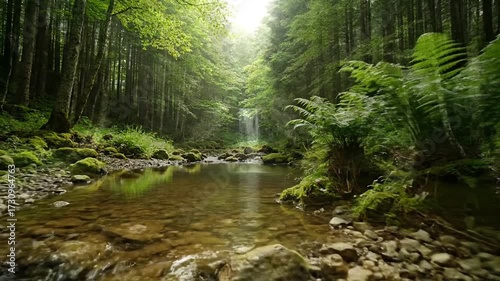 Peaceful stream flowing through a lush green forest leading to a beautiful hidden waterfall in a pristine natural environment.