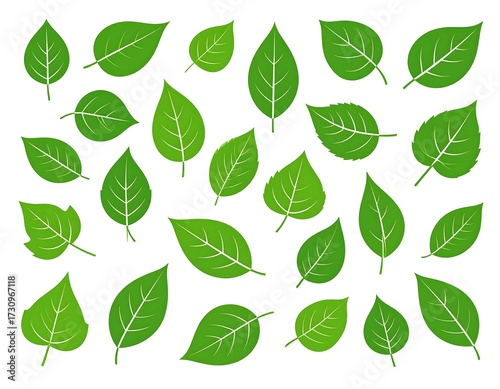 Collection of Green Leaves.