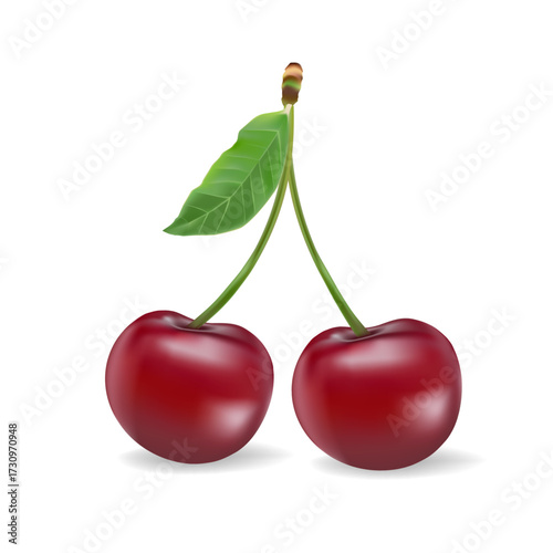 3d realistic vector icon illustration. Fresh red cherries with stem and leaf in one, two or three berries.