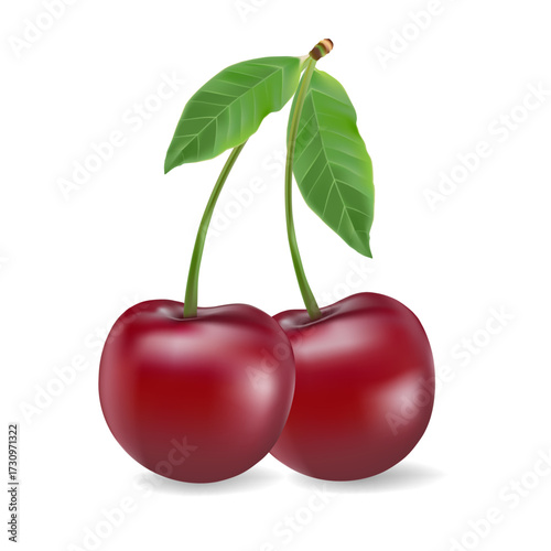 3d realistic vector icon illustration. Fresh red cherries with stem and leaf in one, two or three berries.
