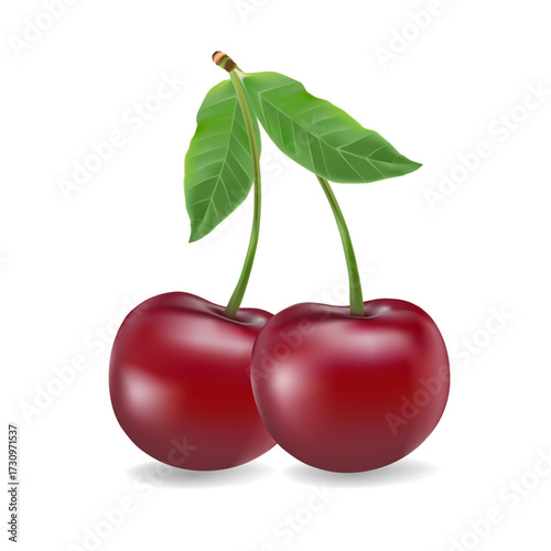 3d realistic vector icon illustration. Fresh red cherries with stem and leaf in one, two or three berries.