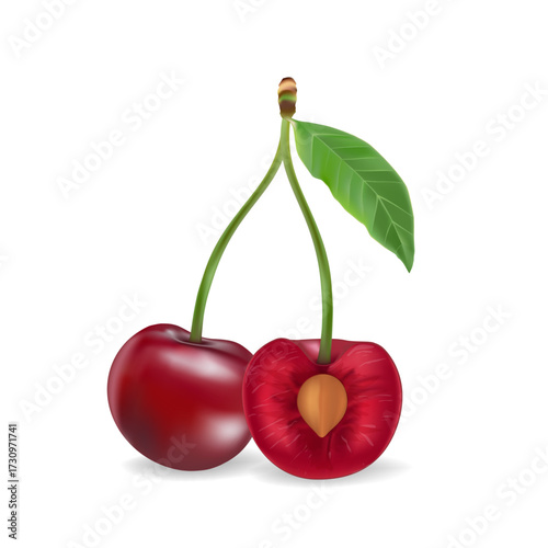 3d realistic vector icon illustration. Fresh red cherries with stem and leaf in one, two or three berries.
