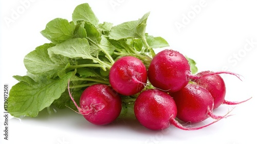 "Crisp Simplicity: Fresh Radish on White"