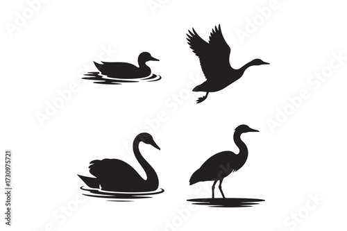 Silhouettes of waterfowl including a swan duck and heron