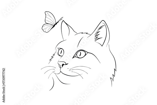 Minimalist line drawing a cat looking up at a butterfly animal insect