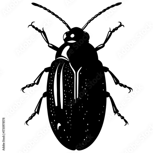 Silhouettes of a Jewel Beetle - Macro Photograph of an Iridescent Insect, Isolated on White