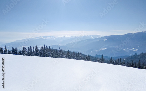 Snowy mountain landscape with forest and blue sky