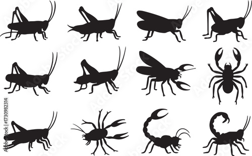 Grasshopper, Cricket, Spider, Scorpion  silhouette vector