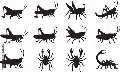 Grasshopper, Cricket, Spider, Scorpion  silhouette vector