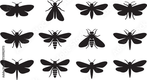 Moth, Bee, Wasp, Dragonfly silhouette vector