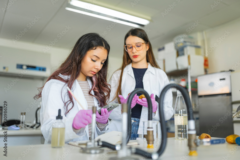 Obraz premium Young hispanic female scientists working in laboratory with potatoes