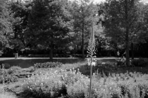 昼下がりの公園