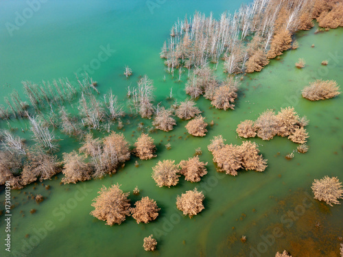 Aerial view of dead trees in the water. Climate change concept.