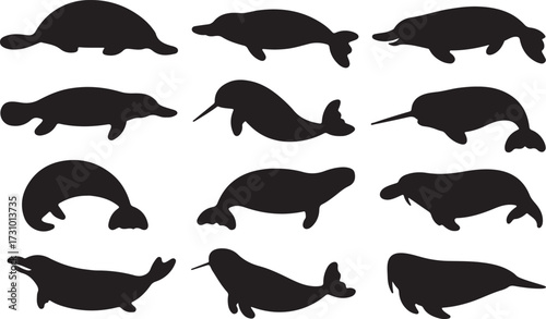 Platypus, Porpoise, Narwhal, Walrus silhouette vector
