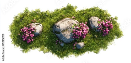 Elevated view of a cluster of rocks and pink flowers nestled in a patch of grass
