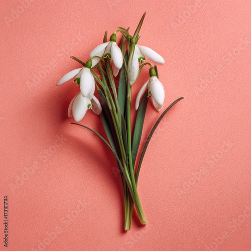 A small bouquet of snowdrops on coral