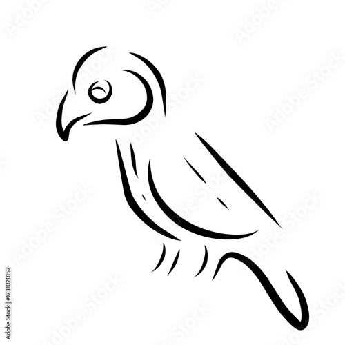 vector illustration of a bird