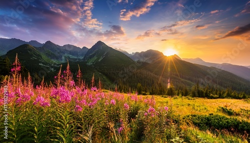 Mountain Landscape Tatra Mountains Summer Landscape In Poland Colorful Sunrise On Hala Gasienicowa Gasienicowa Glade With Blooming Fireweed