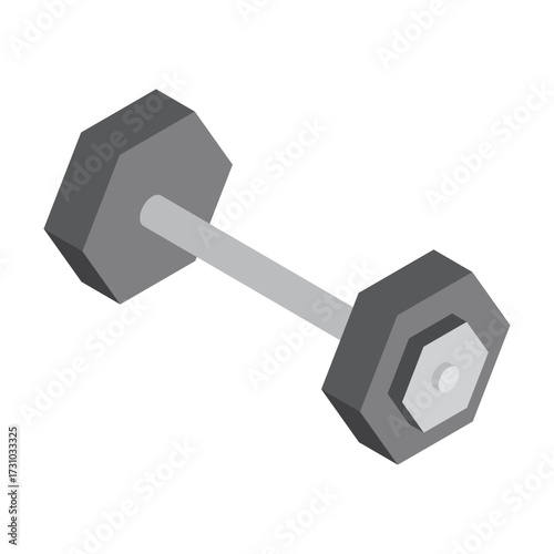 Isometric view of a gray dumbbell isolated on a white background, symbolizing fitness and strength training