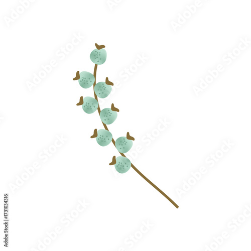 A simple illustration of a light blue berry branch with a brown stem against a white background