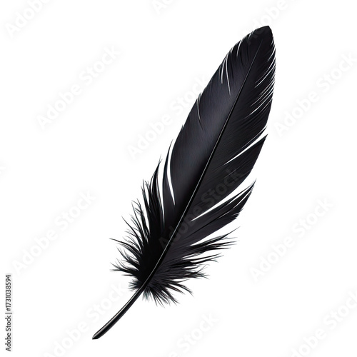 Glossy black feather isolated on a dark backdrop, showing detailed texture