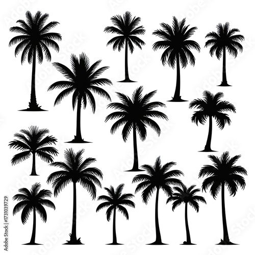 Silhouette collection of palm trees against dark backdrop, capturing their forms