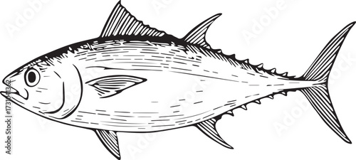 Vintage linocut etching black and white illustration of tuna fish with strong body and fins for seafood culinary artwork and marine educational illustrations