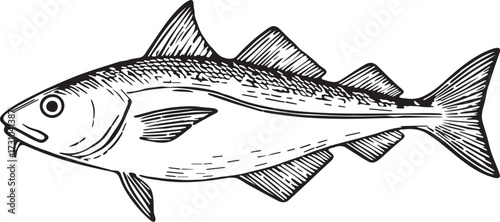 Detailed linocut etching of haddock fish in black and white with fins and slender body for seafood culinary artwork and marine biology educational graphics