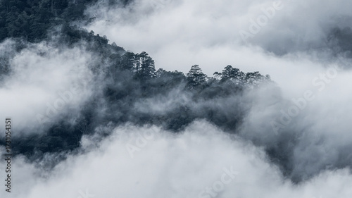 fog landscape Thailand