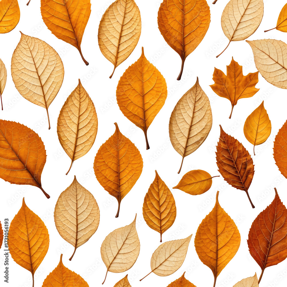 Obraz premium Warm autumn leaves, scattered on a black background