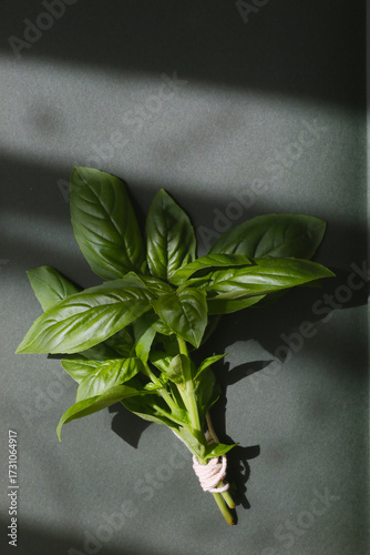 flatlay of fresh basil leaves on a dark background